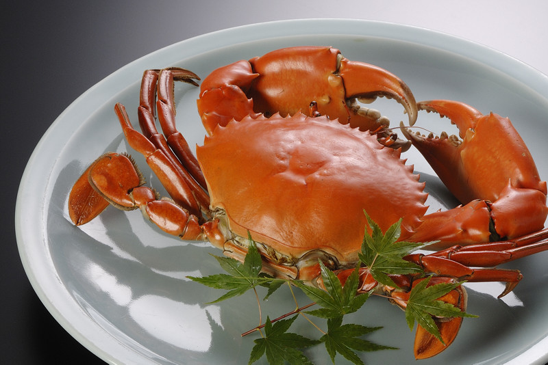 浜名湖産どうまん蟹