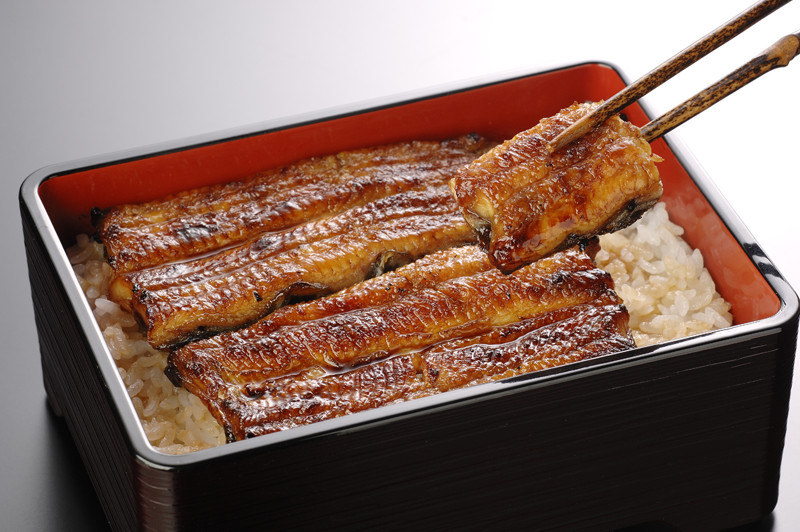 浜名湖産 天然うなぎ うな重